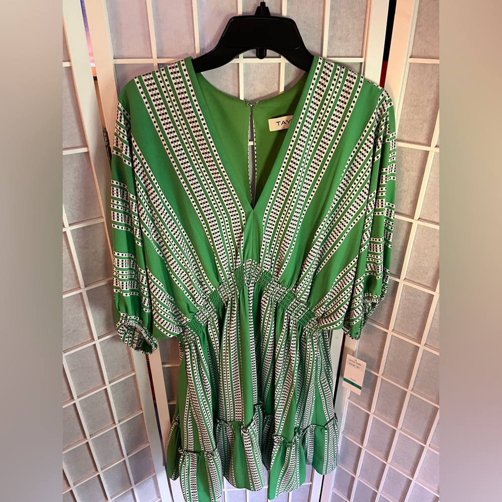Taylor Green and White Striped Dress